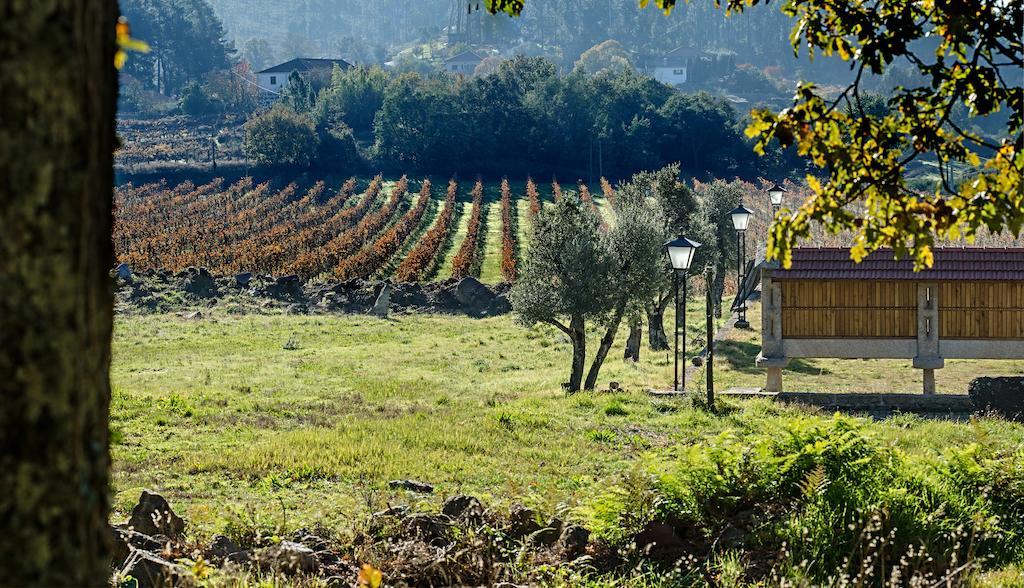 Country house Solar De Serrade *